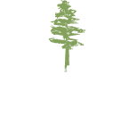 Jasper Lumber Company